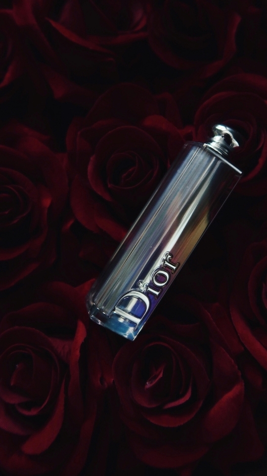 Hình nền Dior cho iPhone dạng ảnh chụp (hình 2)