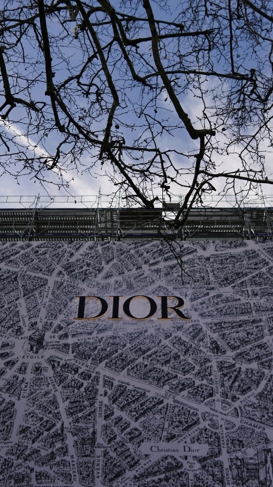 Hình nền Dior cho iPhone dạng ảnh chụp (hình 4)