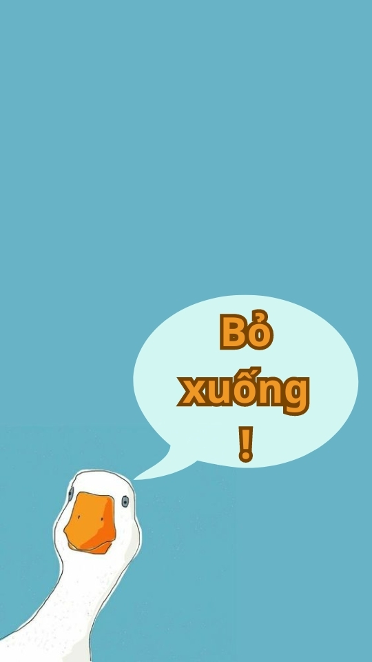 Hình nền bỏ điện thoại tao xuống bằng tiếng Việt (hình 8)