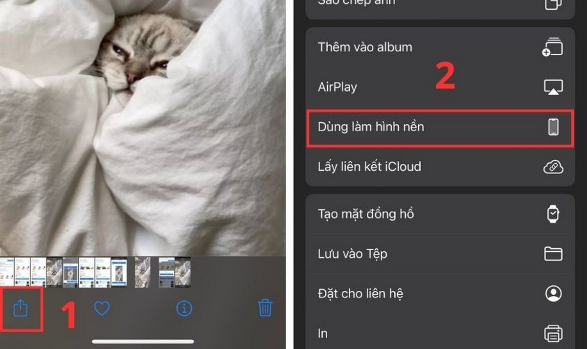 nuôi thú cưng trên iphone - hình 9
