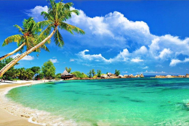 Tổng kết Trên đây là gợi ý về một vài mẫu background Zoom ảo nổi bật dành cho bạn. Hy vọng rằng bạn có thể lựa chọn được cho mình mẫu background phù hợp nhất với nhu cầu của mình nhé. Ngoài ra, nếu bạn cần tìm kiếm một chiếc laptop để phục vụ cho công việc văn phòng đơn giản, bạn có thể tham khảo các sản phẩm từ FPT Shop trong bài viết dưới đây. Laptop Xem thêm: Kho mẫu background màu đỏ cực nổi bật để bạn dễ dàng lựa chọn Các mẫu background thiệp mời sang chảnh và đẹp mắt dành cho bạn - hình 10