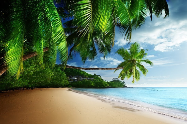 Tổng kết Trên đây là gợi ý về một vài mẫu background Zoom ảo nổi bật dành cho bạn. Hy vọng rằng bạn có thể lựa chọn được cho mình mẫu background phù hợp nhất với nhu cầu của mình nhé. Ngoài ra, nếu bạn cần tìm kiếm một chiếc laptop để phục vụ cho công việc văn phòng đơn giản, bạn có thể tham khảo các sản phẩm từ FPT Shop trong bài viết dưới đây. Laptop Xem thêm: Kho mẫu background màu đỏ cực nổi bật để bạn dễ dàng lựa chọn Các mẫu background thiệp mời sang chảnh và đẹp mắt dành cho bạn - hình 8