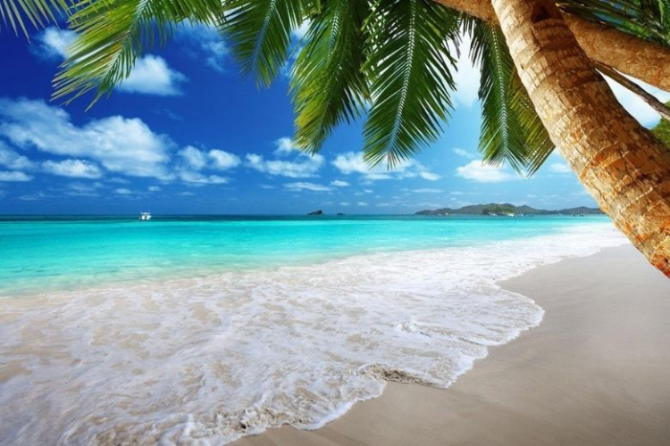 Tổng kết Trên đây là gợi ý về một vài mẫu background Zoom ảo nổi bật dành cho bạn. Hy vọng rằng bạn có thể lựa chọn được cho mình mẫu background phù hợp nhất với nhu cầu của mình nhé. Ngoài ra, nếu bạn cần tìm kiếm một chiếc laptop để phục vụ cho công việc văn phòng đơn giản, bạn có thể tham khảo các sản phẩm từ FPT Shop trong bài viết dưới đây. Laptop Xem thêm: Kho mẫu background màu đỏ cực nổi bật để bạn dễ dàng lựa chọn Các mẫu background thiệp mời sang chảnh và đẹp mắt dành cho bạn - hình 9