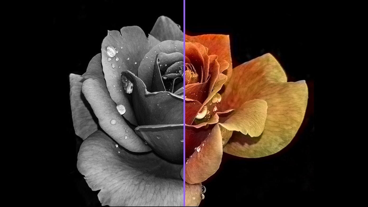 cách chỉnh màu màn hình máy tính về mặc định độ tương phản 3