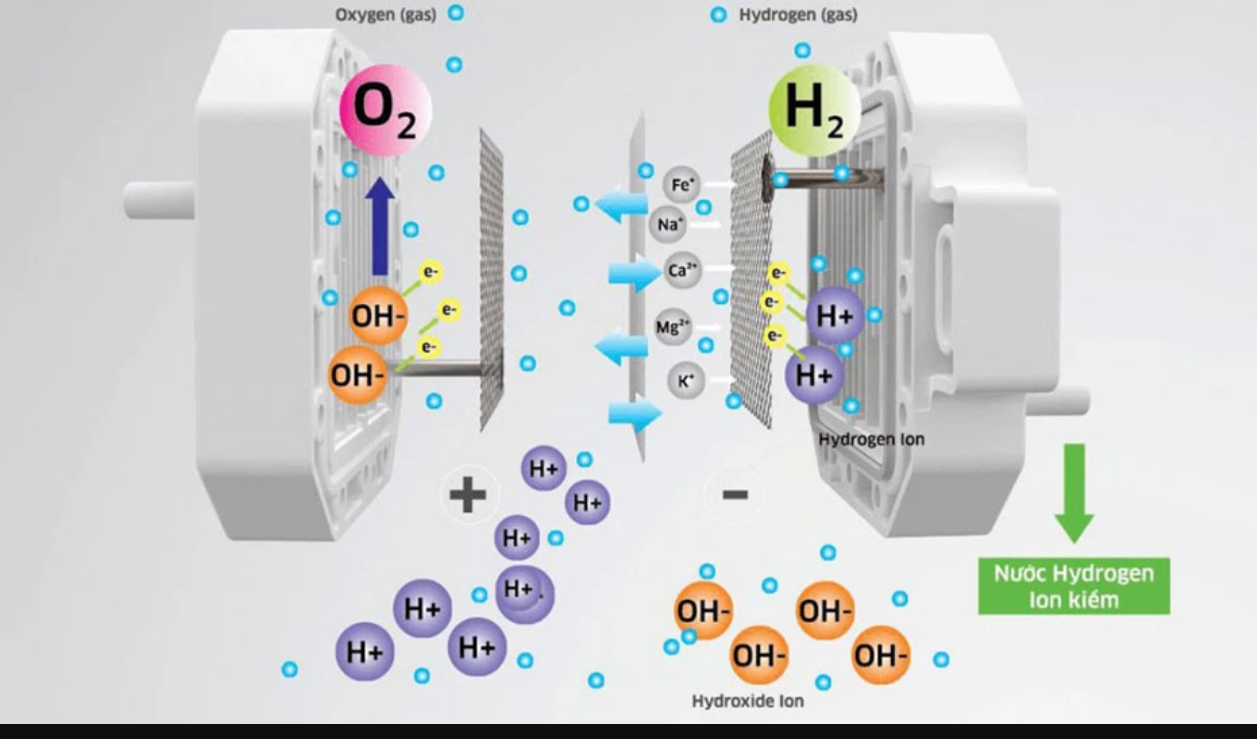 máy lọc nước ion kiềm loại nào tốt nhất 2024 (ảnh 2)