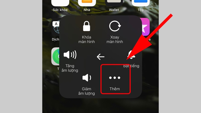 iPhone X bị đơ màn hình (ảnh 15)