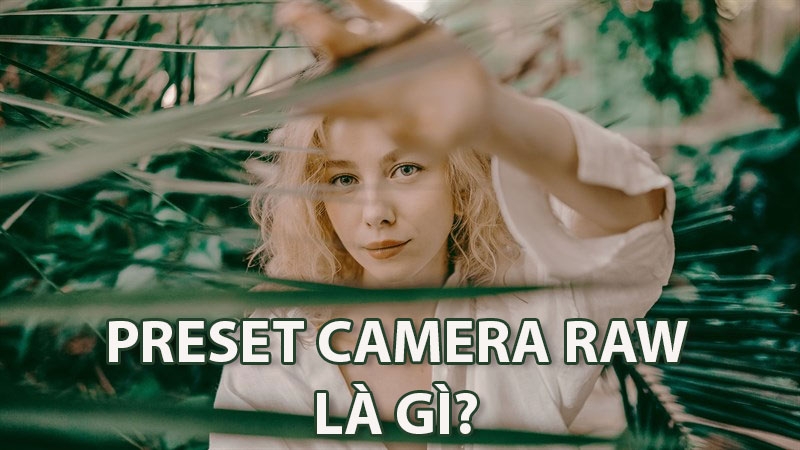Preset Camera Raw hình 1