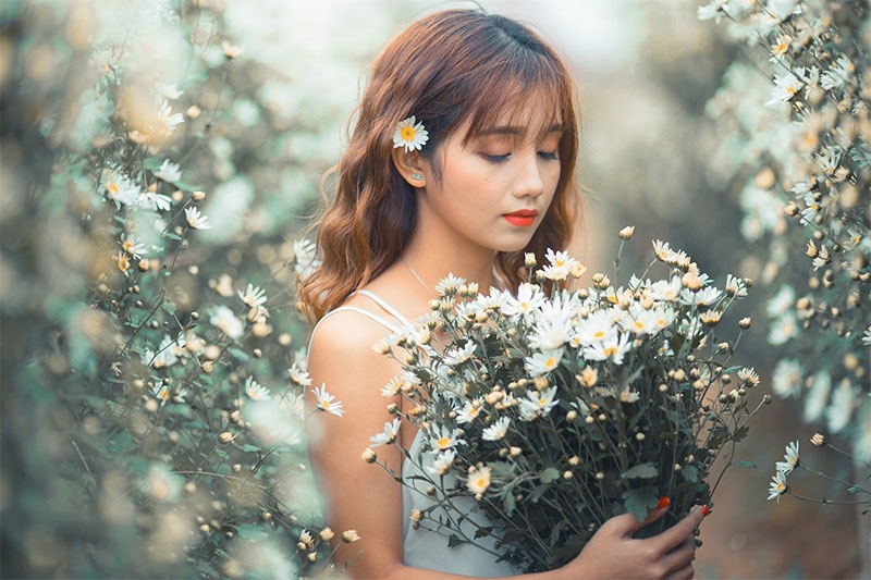 Preset Camera Raw hình 9