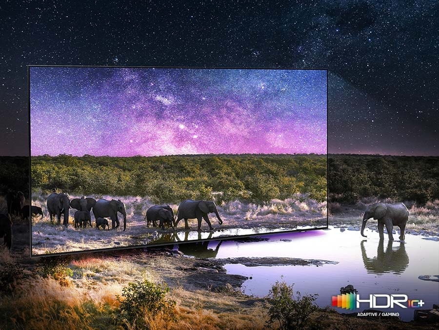 Quantum HDR 5