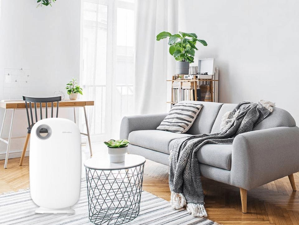 Máy lọc không khí Coway AP-1009CH