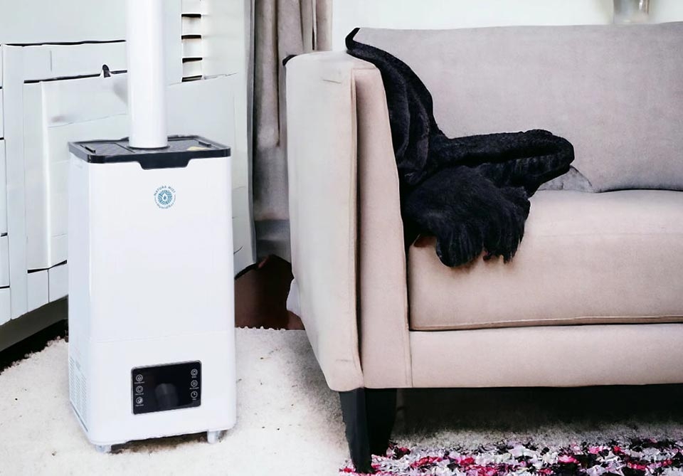 Máy lọc không khí