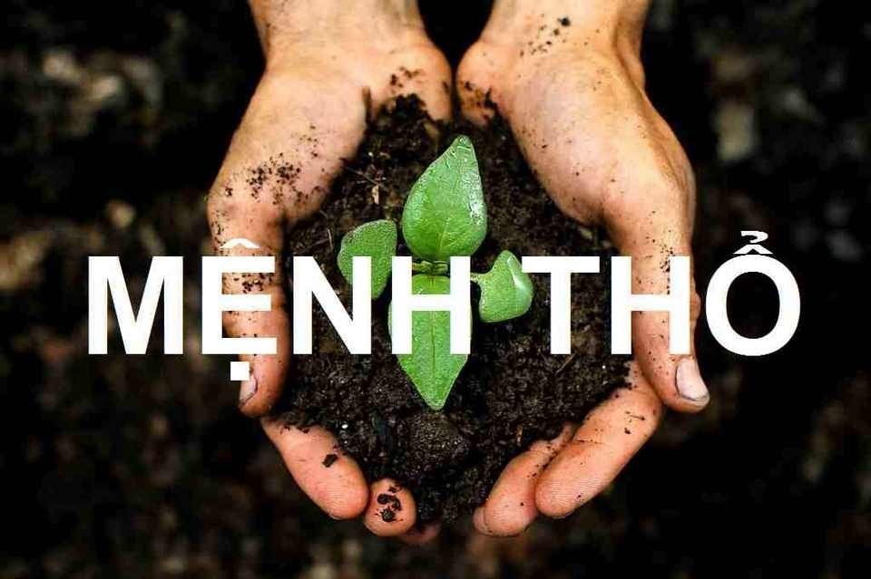 Những đặc điểm tiêu biểu của người mệnh Thổ