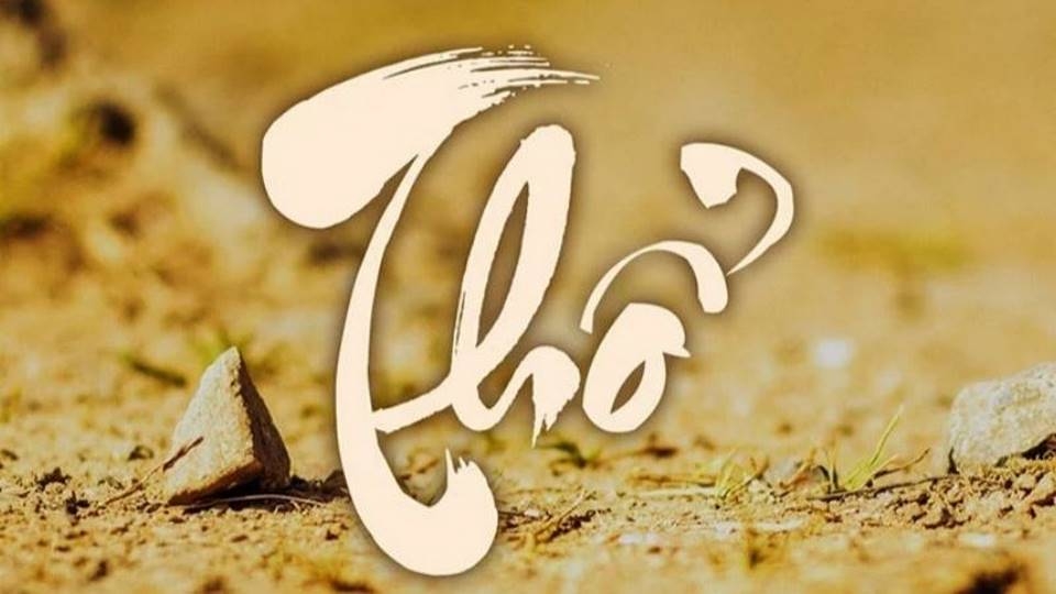 Những màu sắc đa dạng và phong phú