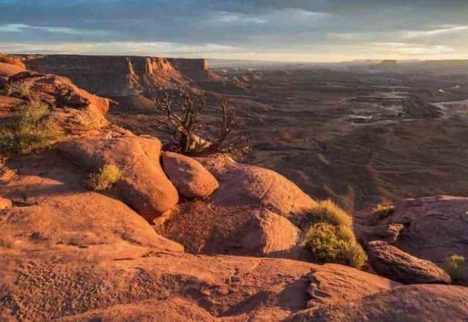 Chủ đề hình nền vô cùng sống động