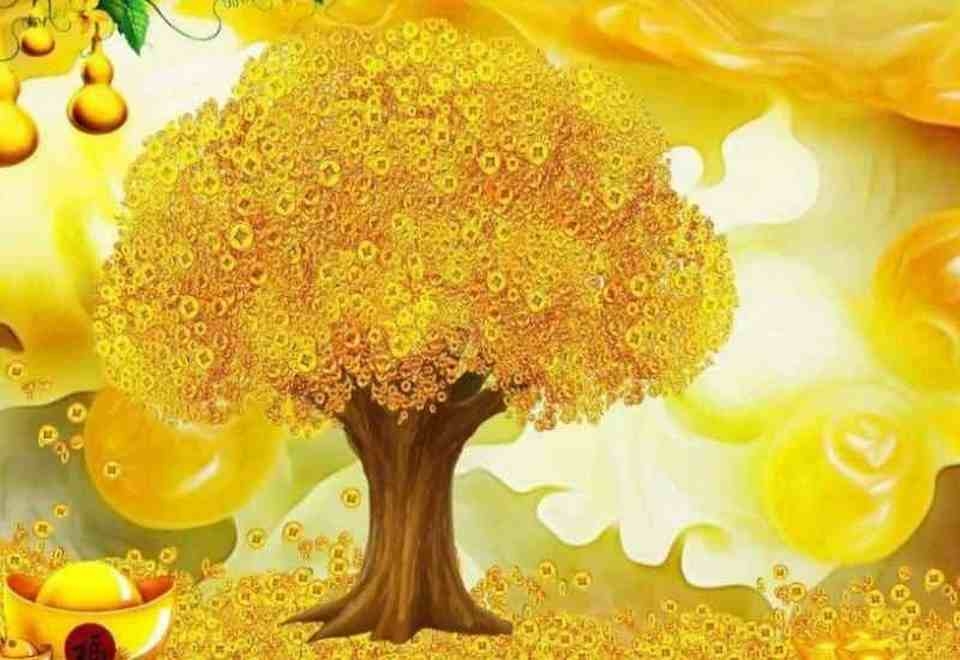 Điều kiện chọn hình ảnh đúng màu