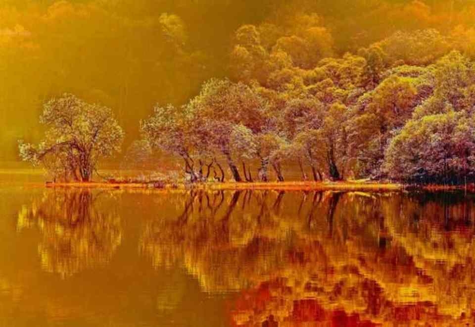 Nhiều yếu tố màu sắc được chú ý