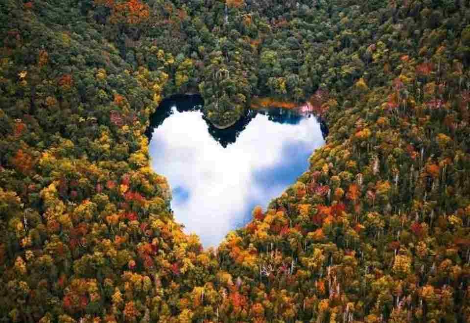 Luôn đề cao yếu tố hài hòa trong hình ảnh