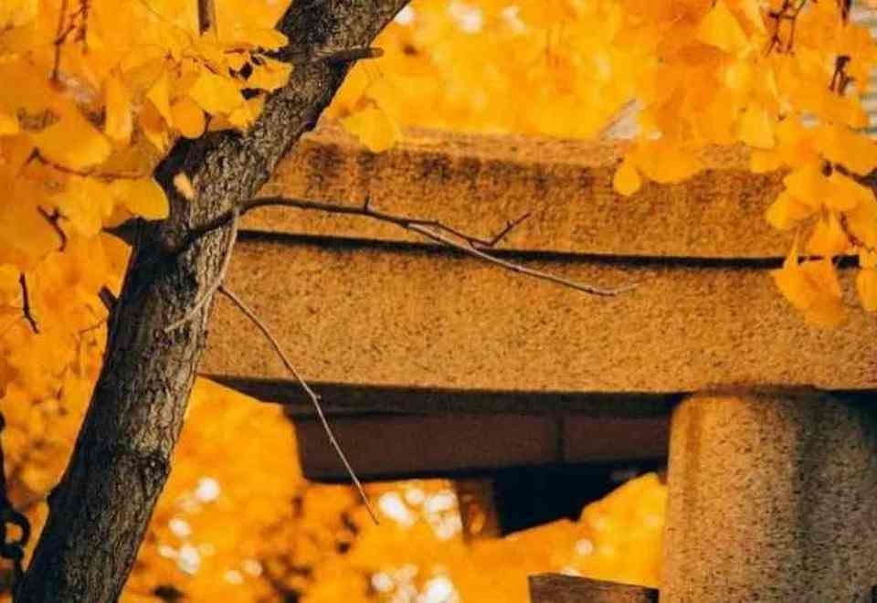 Những hình khối đặc biệt được áp dụng