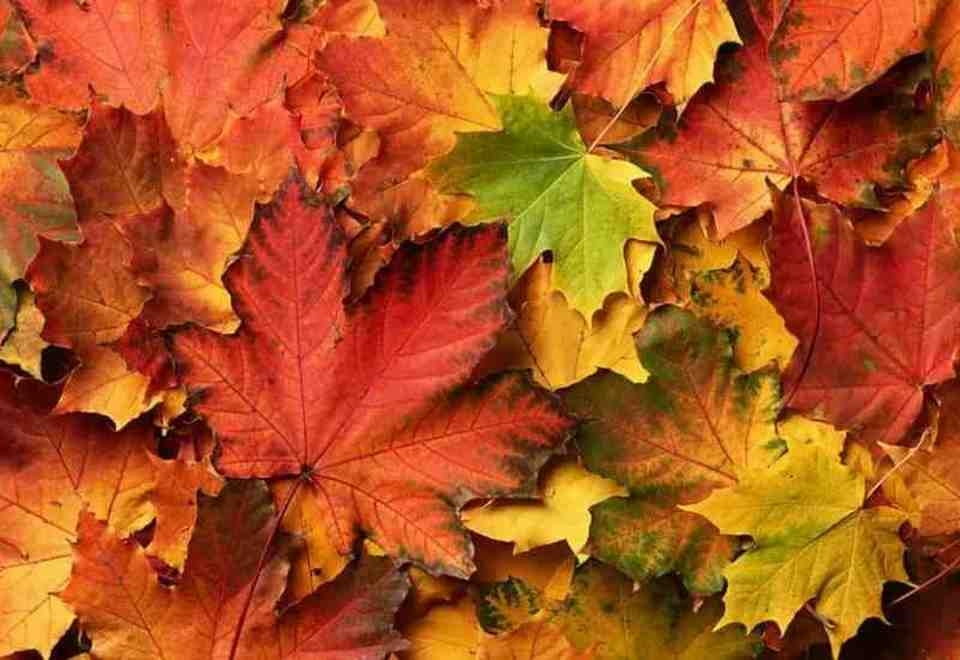 Mang đến không gian sống tích cực