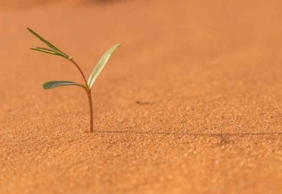 Cuộc sống trở nên bình yên hơn