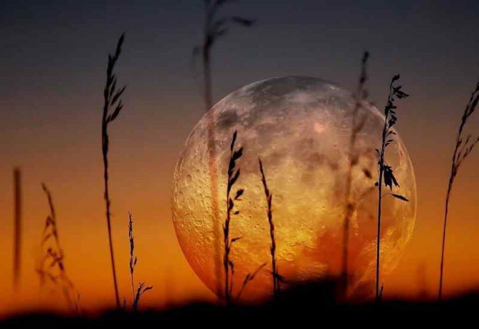 Cách lựa chọn màu sắc rất đa dạng