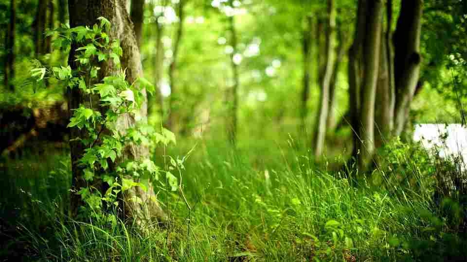 Những hình nền màu sắc tươi sáng