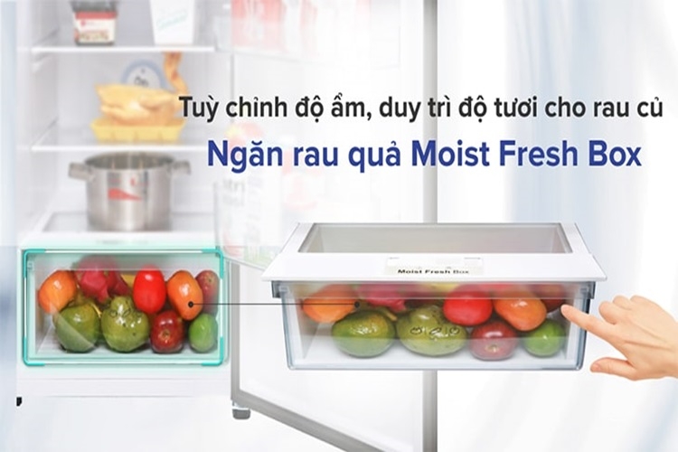 Moist Fresh Box - Ngăn rau củ trên tủ lạnh: Bí quyết giữ thực phẩm tươi ngon lâu hơn 1