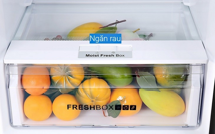 Moist Fresh Box - Ngăn rau củ trên tủ lạnh: Bí quyết giữ thực phẩm tươi ngon lâu hơn 3