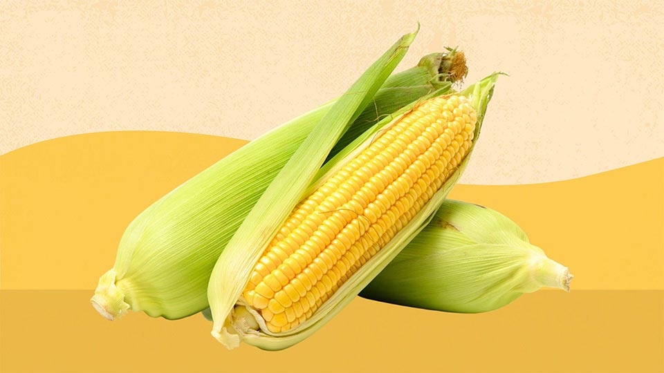 Trái bắp mỹ - Ảnh 09