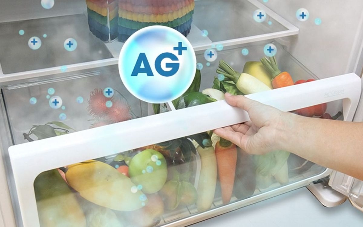 Ag+ Crisper (ảnh 1)