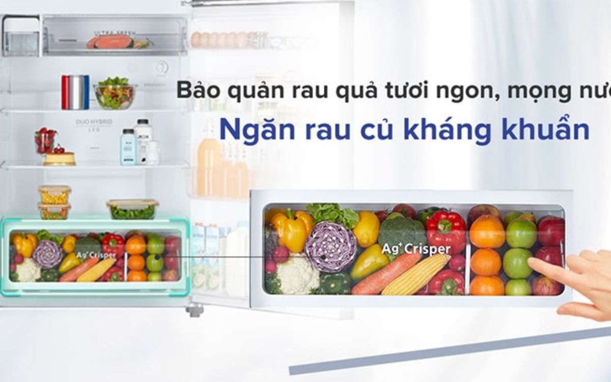 Ag+ Crisper (ảnh 2)