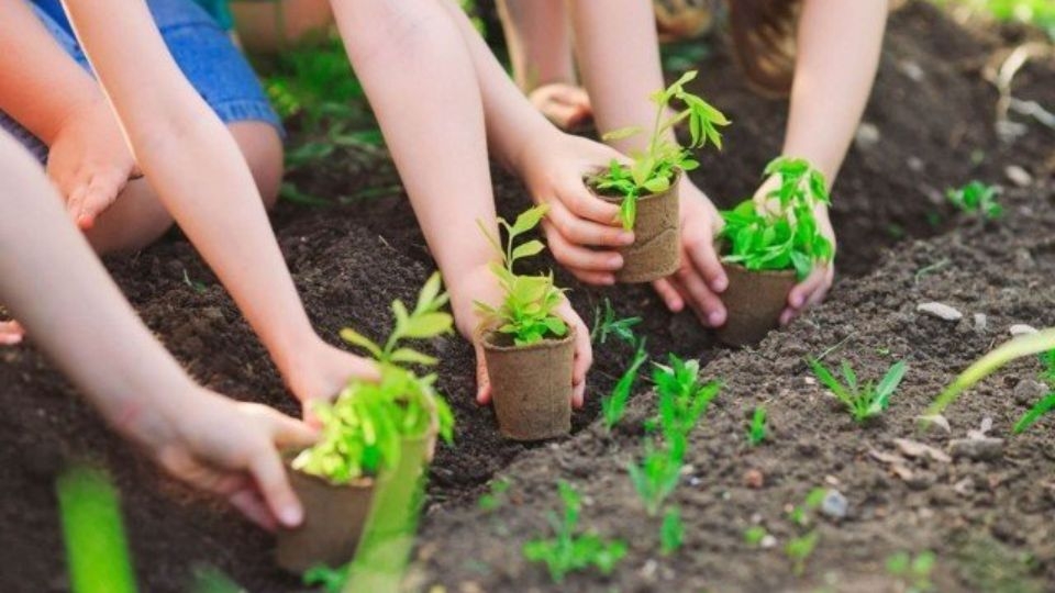 Cách để giảm thiểu hiệu ứng nhà kính