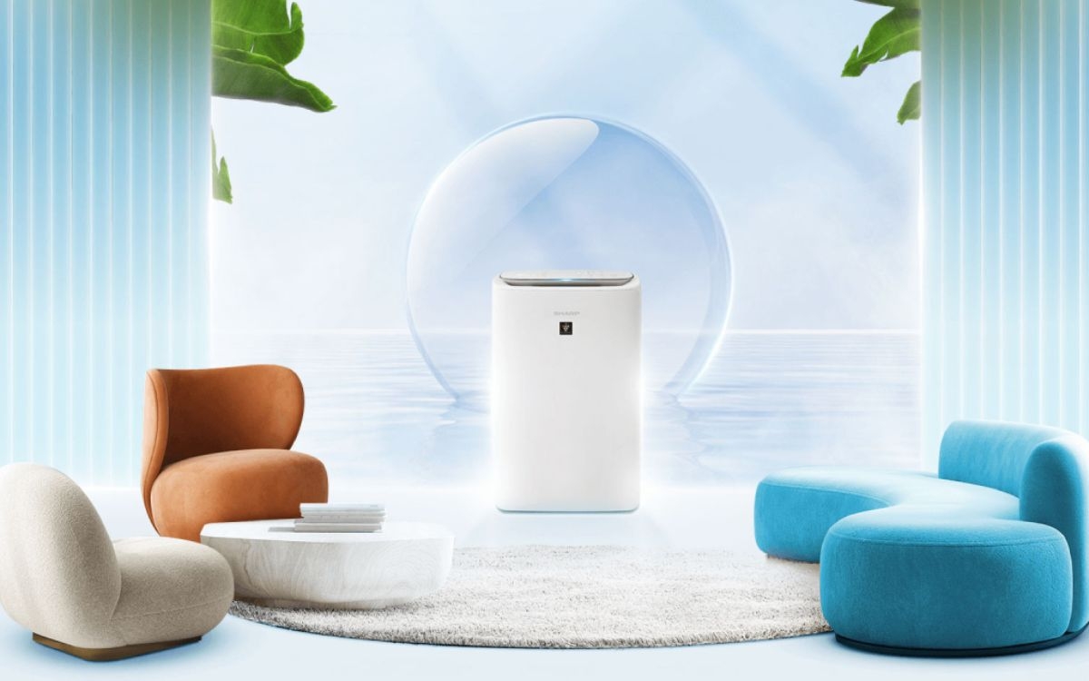 Mật độ ion Plasmacluster (ảnh 3)