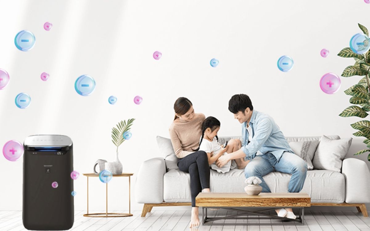 Mật độ ion Plasmacluster (ảnh 4)