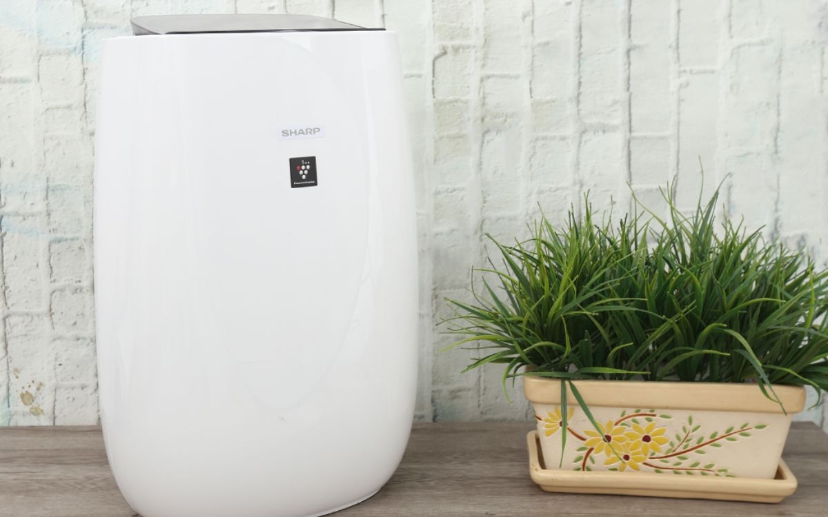 Mật độ ion Plasmacluster (ảnh 5)