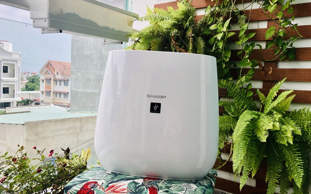 Mật độ ion Plasmacluster (ảnh 7)