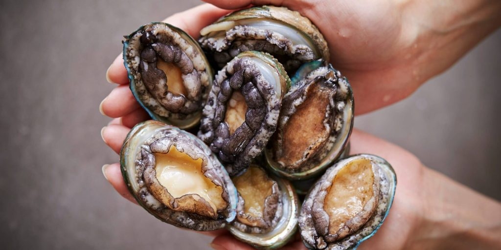 Bào ngư sốt dầu hào (ảnh 2)