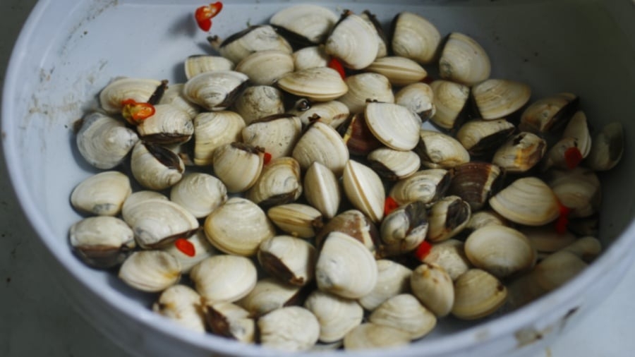 Cách làm ngao nướng (ảnh 1)