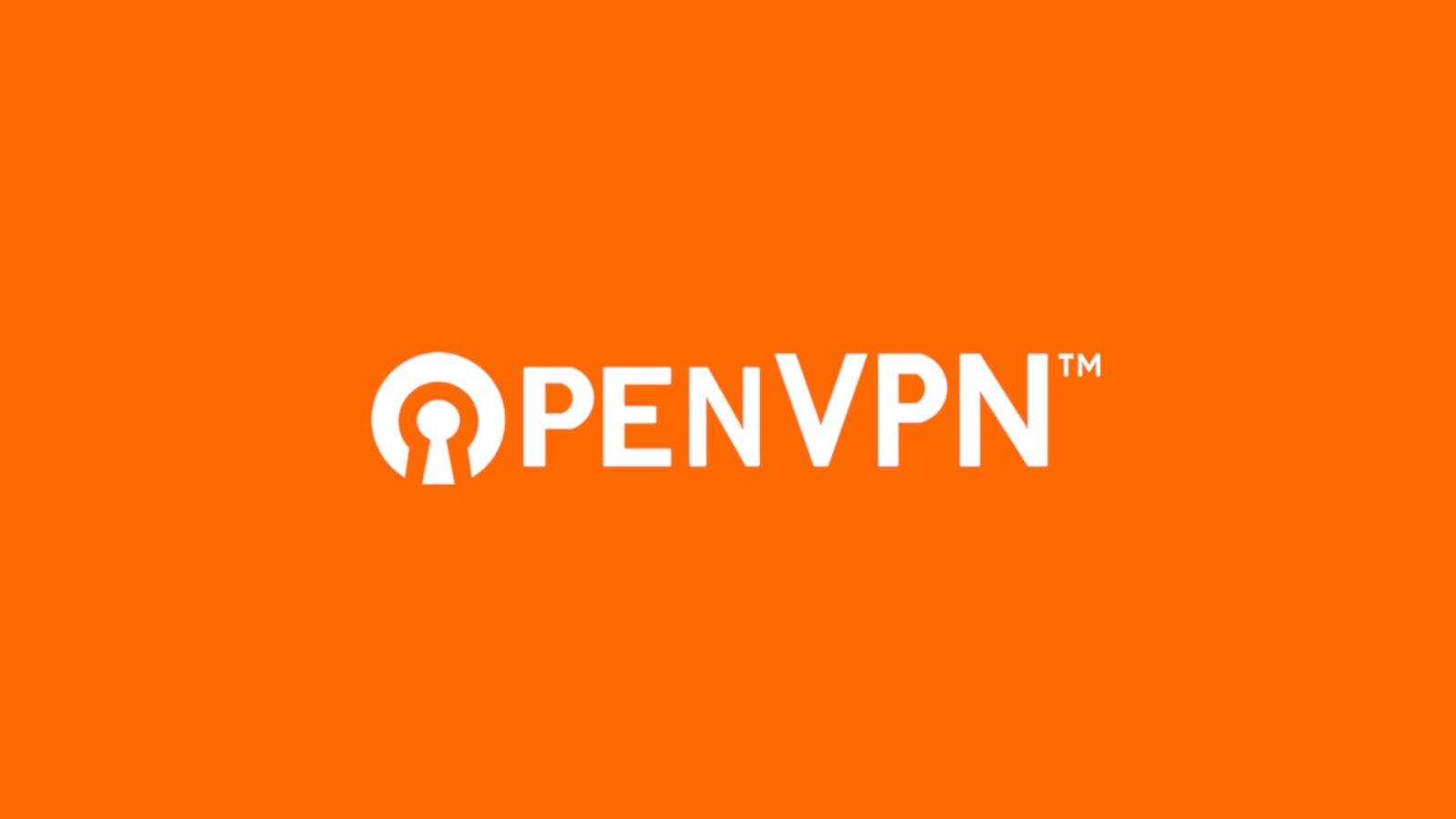 OpenVPN - hình 3