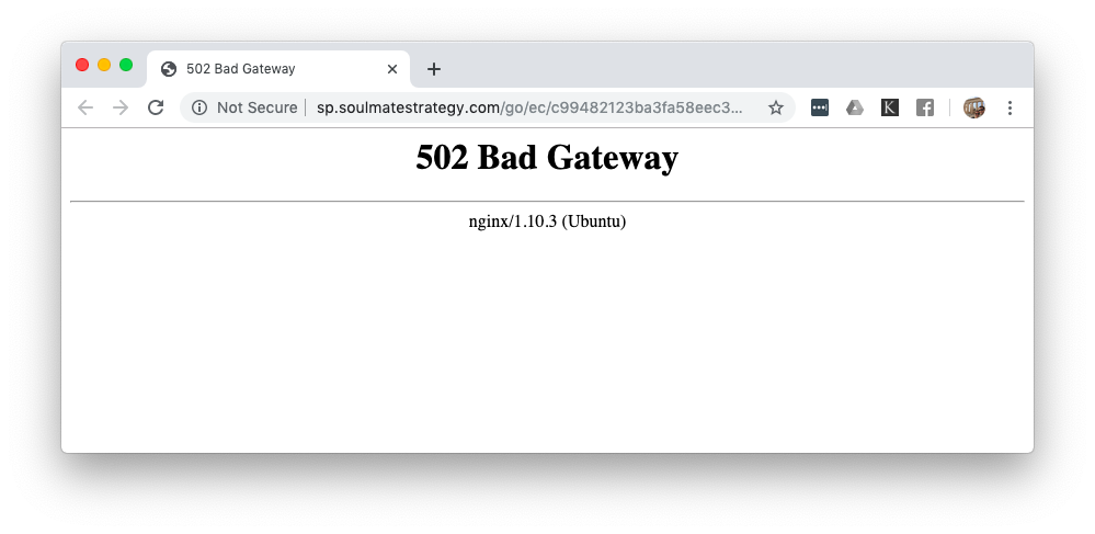 502 Bad Gateway Nginx - hình 1
