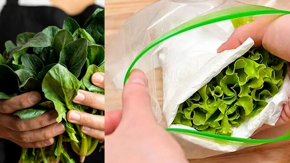 cách bảo quản rau trong tủ lạnh 02