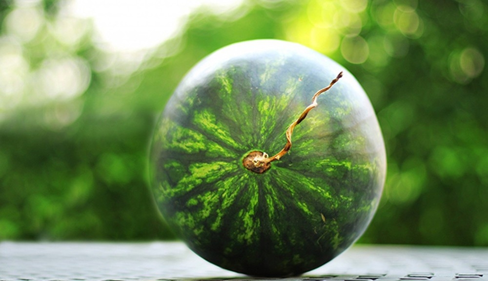 cách bảo quản dưa hấu 2