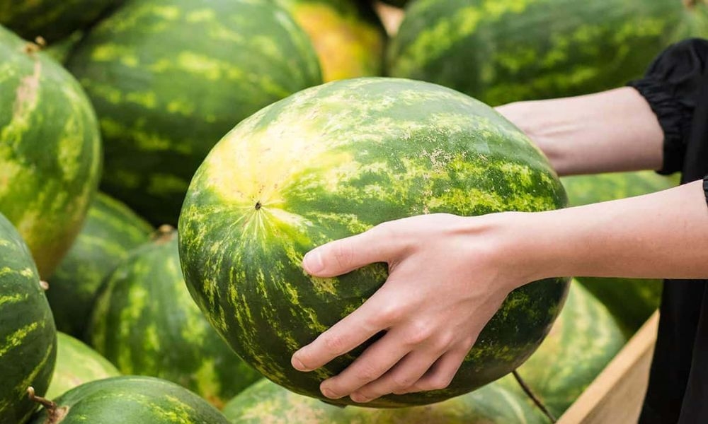 cách bảo quản dưa hấu 3