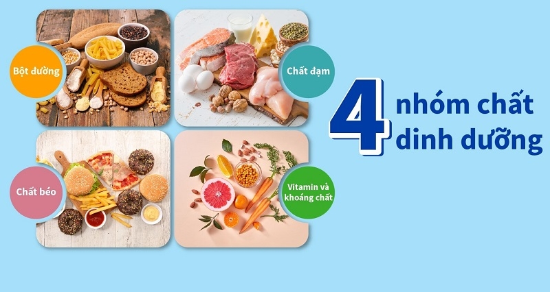 ăn chay đủ chất (ảnh 5)