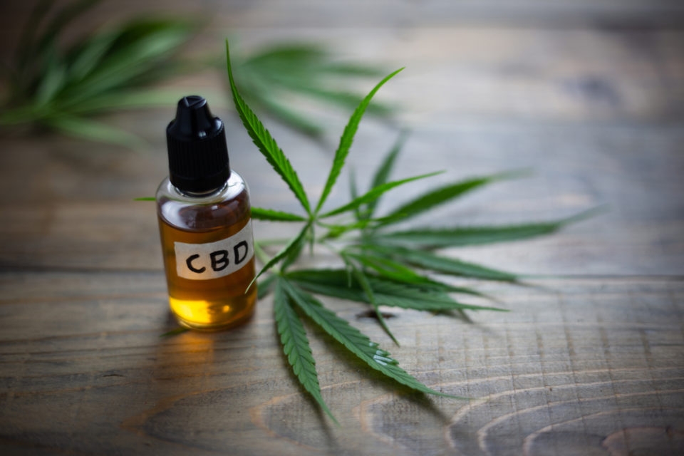CBD là gì?