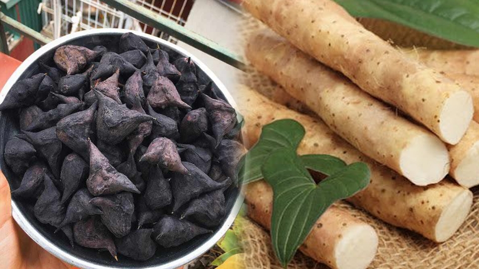 Củ ấu và củ mài.