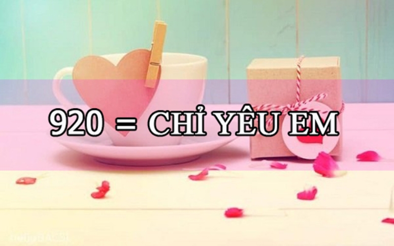 920 là gì (ảnh 1)