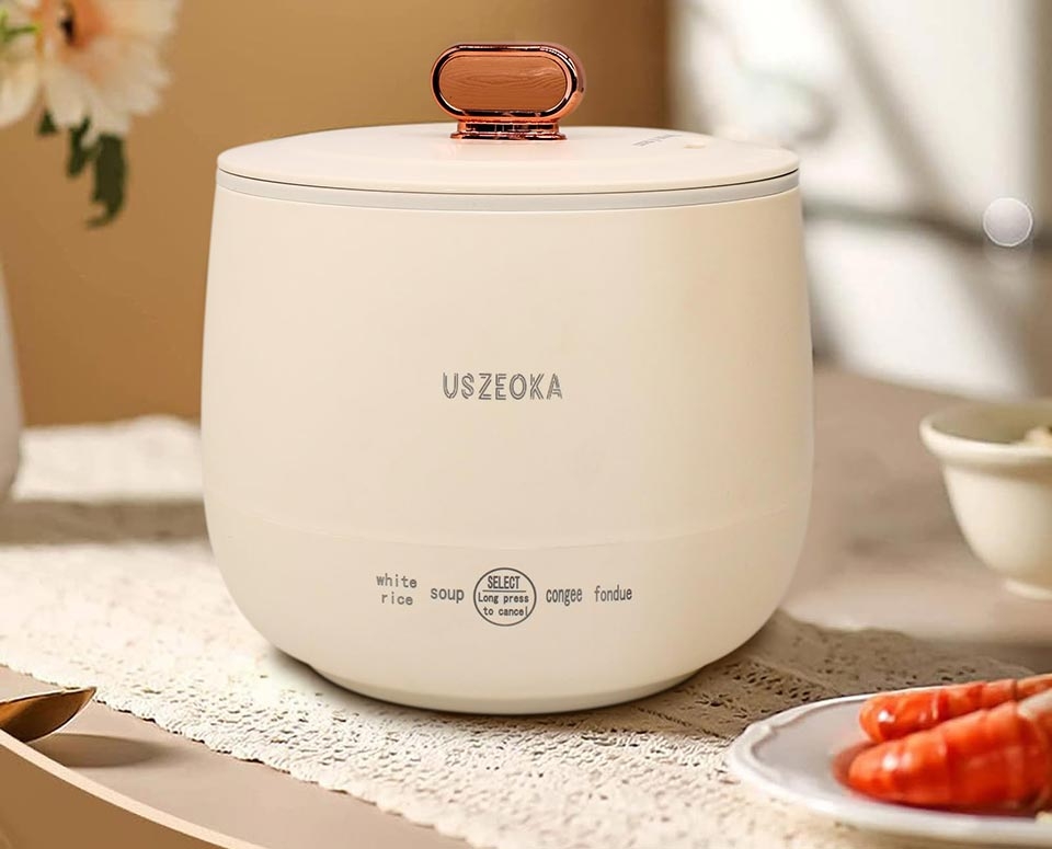 Nồi cơm điện mini - Ảnh 01