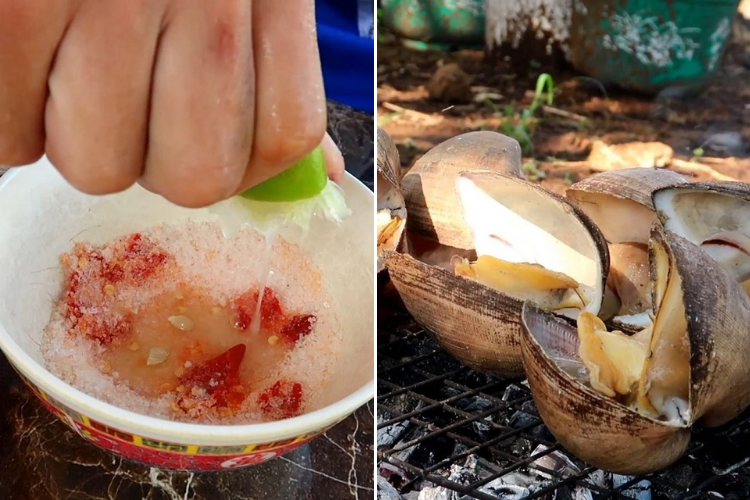 sò sữa 6