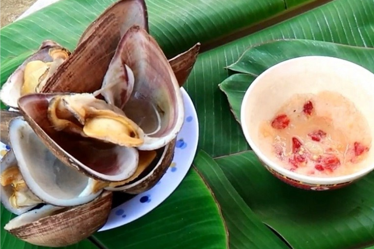 sò sữa 7